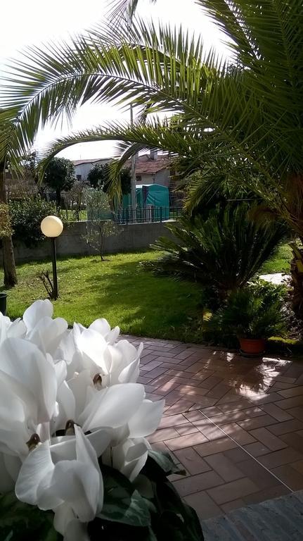 B&B La Cascina Concordia Sagittaria Extérieur photo